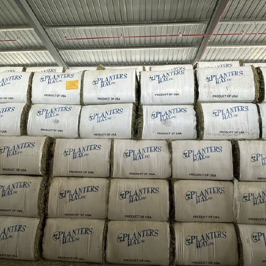 宁波苜蓿草，美国，西班牙，苏丹等数十家工厂一手货源各港口可做