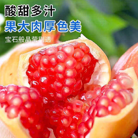 德昌县大凉山 会理石榴