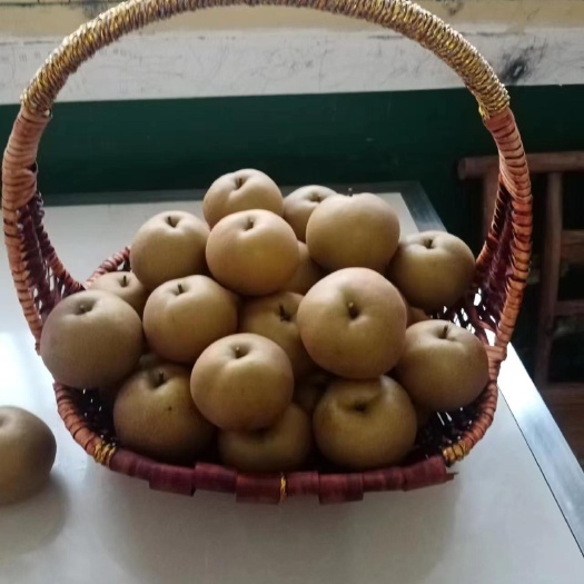 常宁市黄花梨