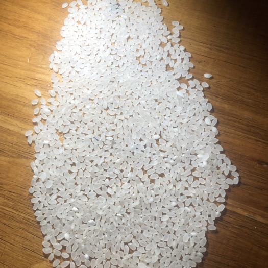 安顺珍珠米