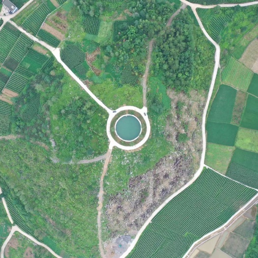 土地预售，租赁