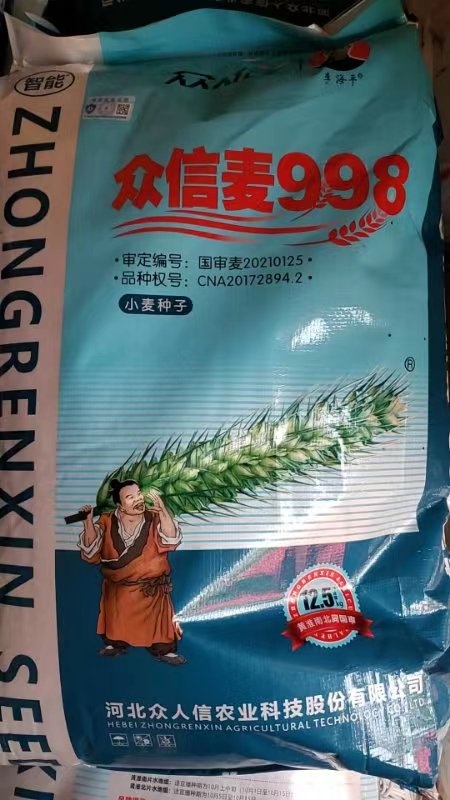 众信麦998  双国审品种 产量超高