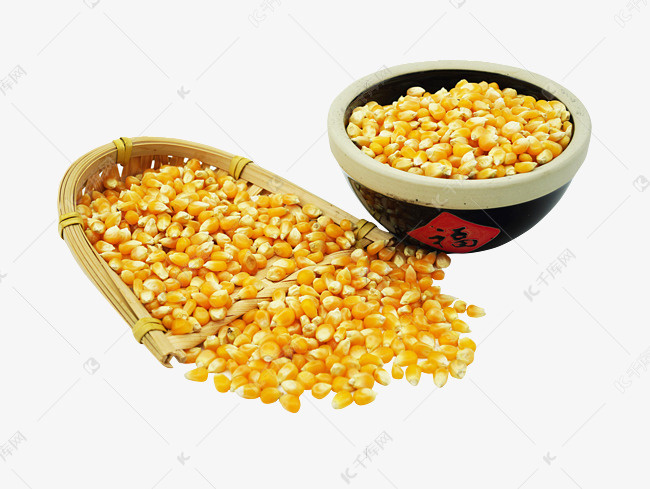 包头中粮二级玉米
