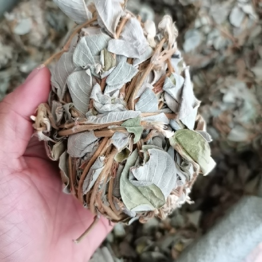 金钱草