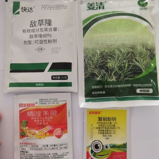 兰陵县生姜地除草剂姜清生姜大姜苗后专用除草剂禾阔双除安全不伤姜苗