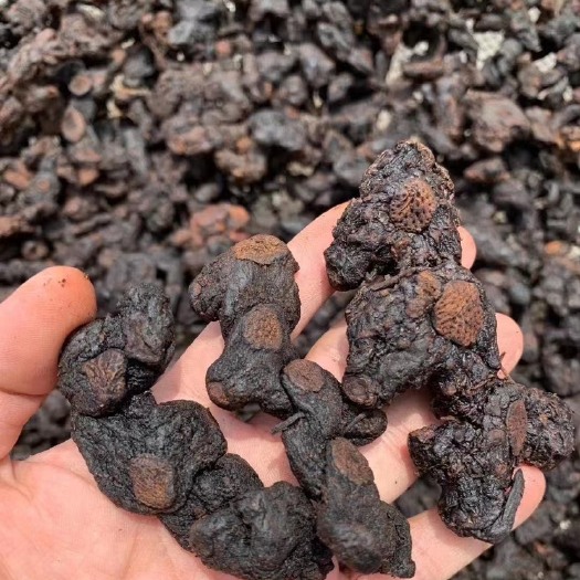 凯里市九蒸九晒黄精，纯，农村山上收的。不议价不包邮5斤起批