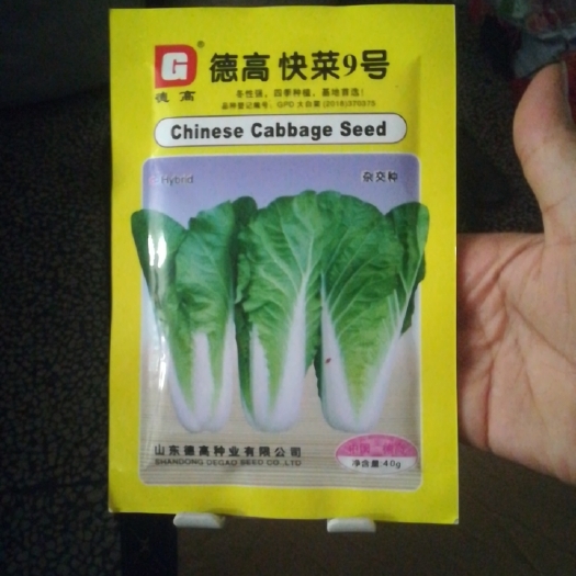 怀化德高快菜9号冬性强四季种植基地可播叶面光滑无毛德高菜种子