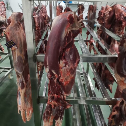 新鲜牛肉四分体，十六分体批发。四分体50元/公斤。