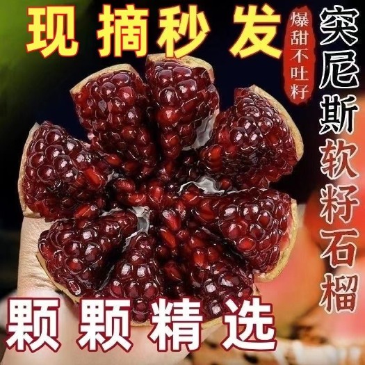 会理市突尼斯软籽石榴