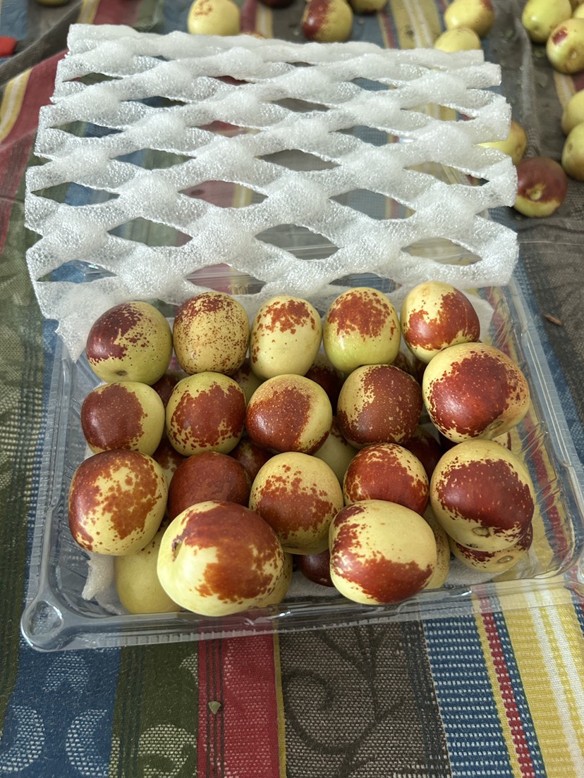 庙上冬枣