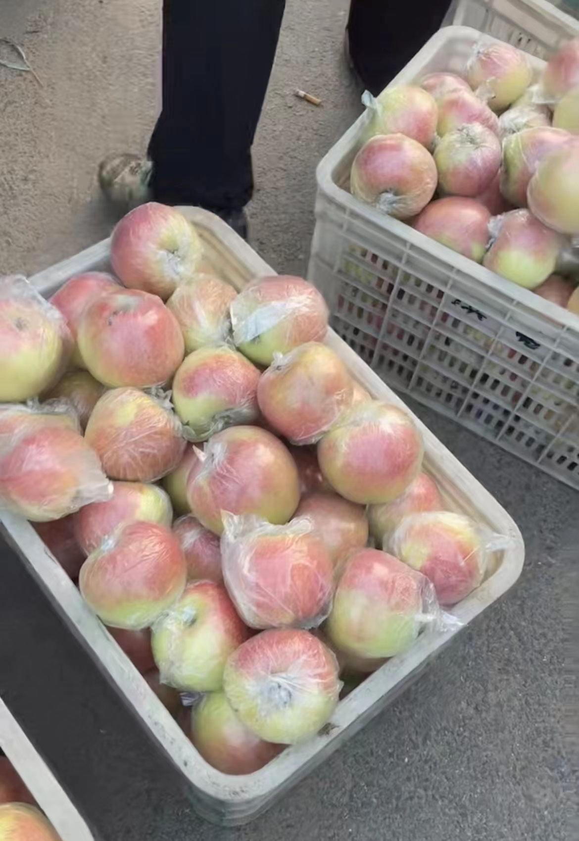 沂水县山东优质美八苹果，嘎啦苹果产地大降价，产地一手货源批发价
