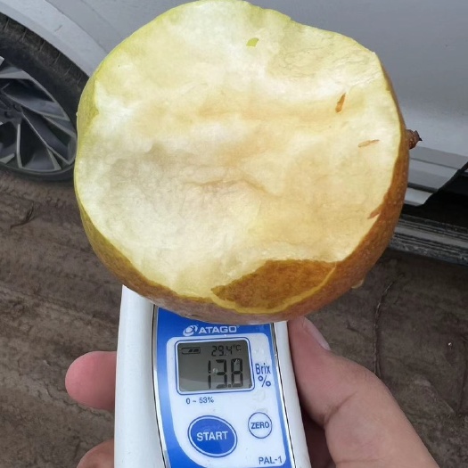 临猗县红香酥梨丹霞红梨等