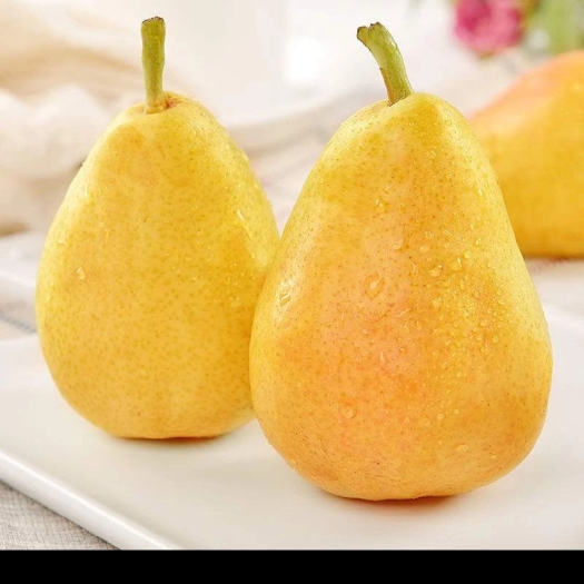 天水甘肃香蕉梨