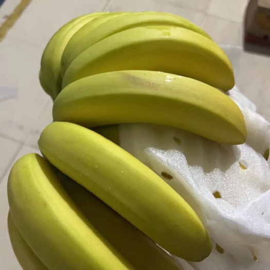 滕州市精品国产香蕉质量刚刚的