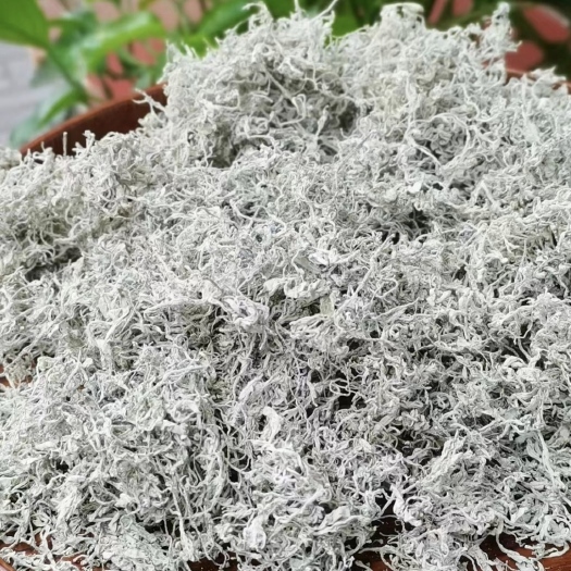 张家界张家界莓茶