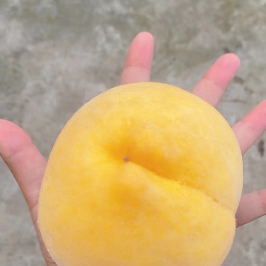 石棉县锦绣黄桃精品果