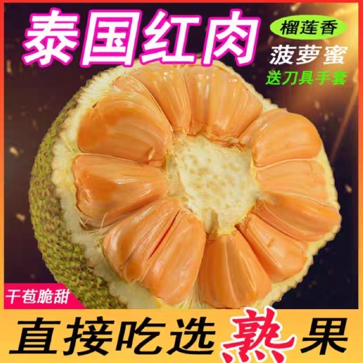 马关县红肉菠萝蜜泰国8号