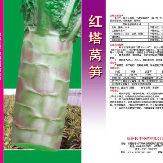 樟树市莴笋种子