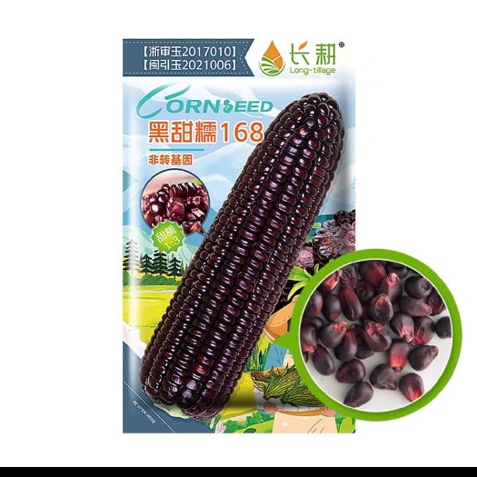 仪征市黑甜糯玉米，彩甜糯玉米