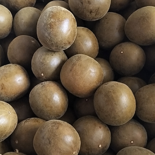 永福县广西桂林永福县优质罗汉果批发