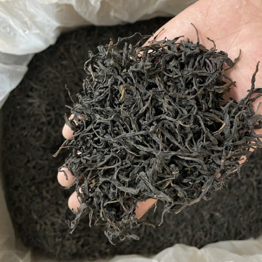 汕头凤凰单丛（宋种），23年的春茶！味香，叶美