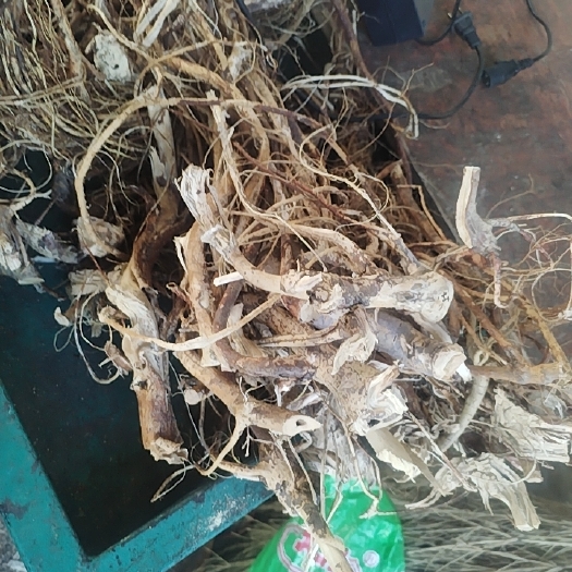 贺州五指毛桃统货，中小节小扎都有