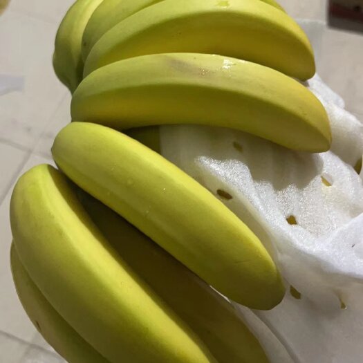 滕州市国产精品香蕉