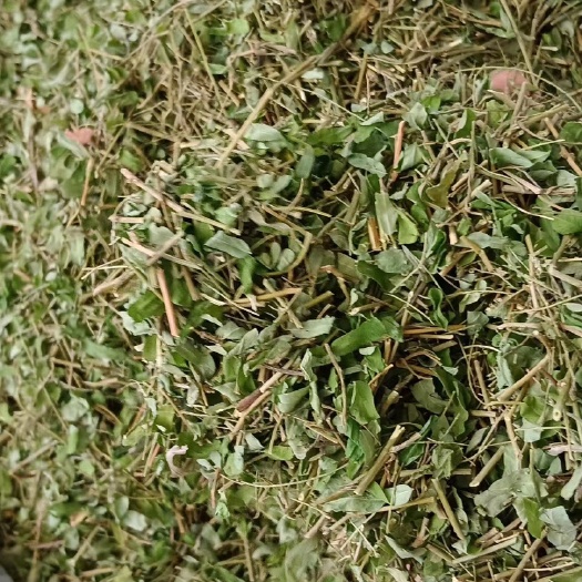 玉林甜鸡骨草