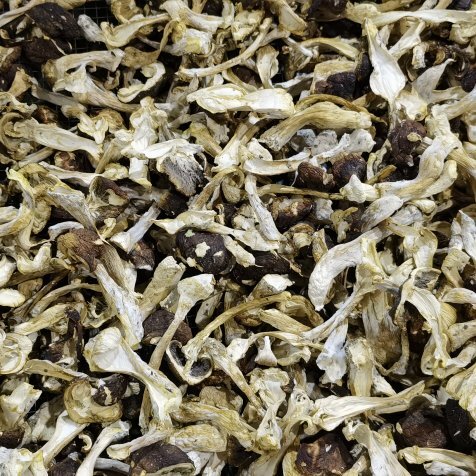 息烽县赤松茸干片