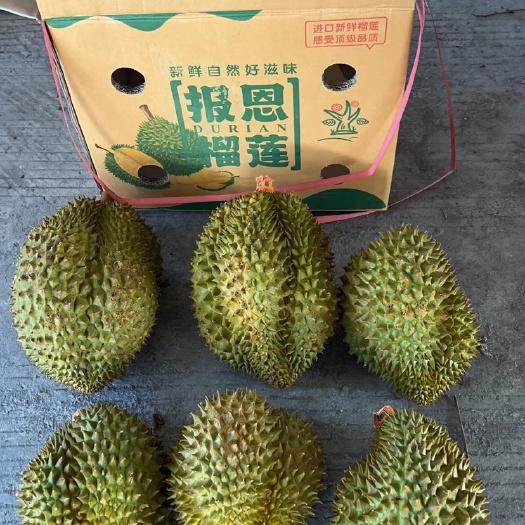南宁专业批发金枕 干尧等榴莲
