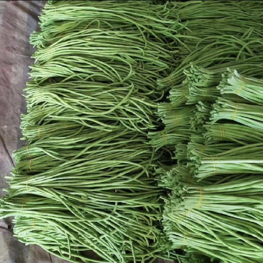 鹿邑县蔬菜水果自家种植