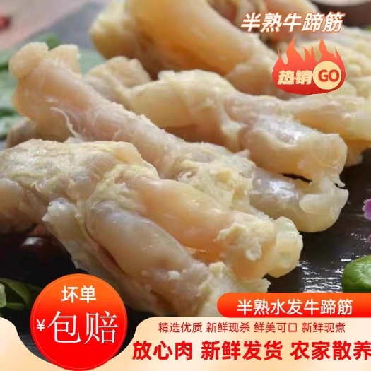 新鲜半熟牛蹄筋农家散养黄牛蹄筋牛杂牛板筋半成品牛腿筋烧烤食材