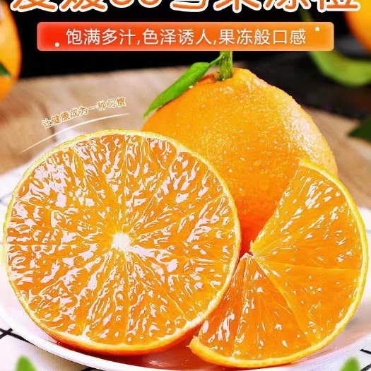 湖北爰媛果冻橙，九月红果冻橙，对接电商社团超市供应链