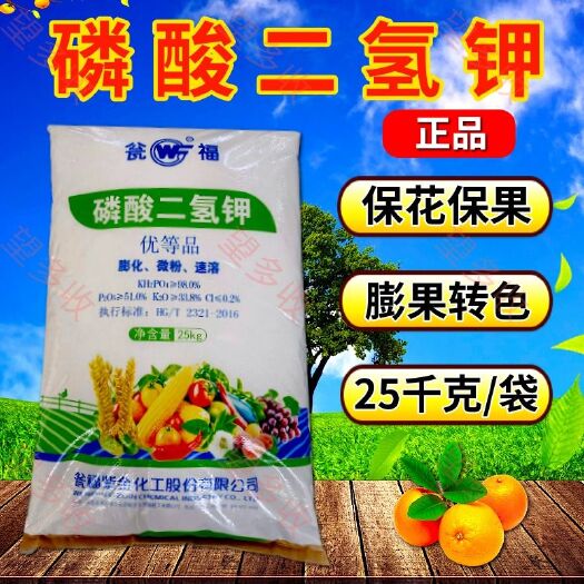 潍坊磷酸二氢钾 膨化速溶1000克促花促果促进花芽分化易吸收