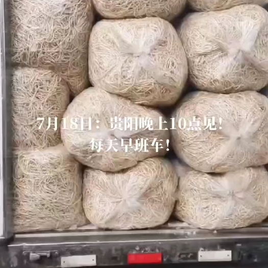 当阳市全新水田根