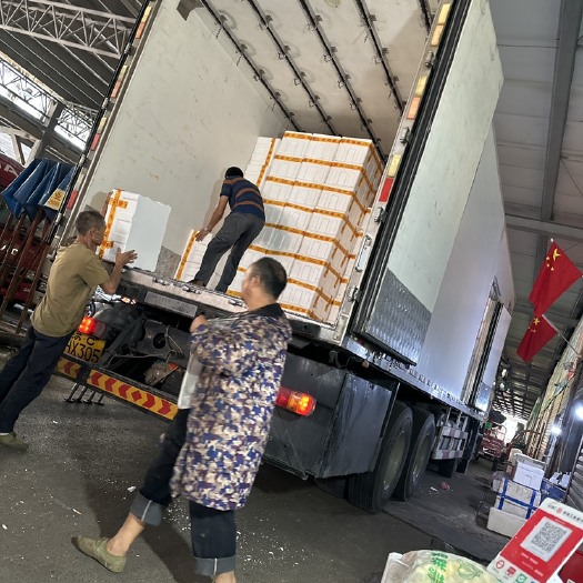 修文县精品新货