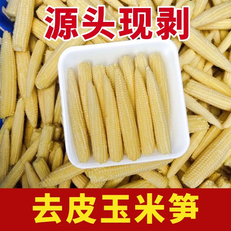 广州新鲜玉米笋