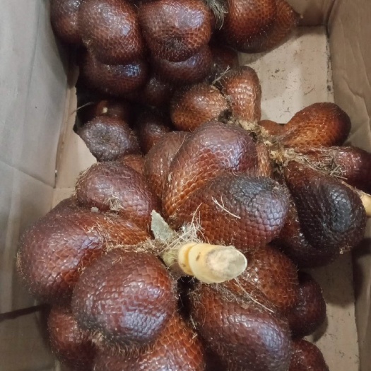 印尼6A蛇皮果、6A山竹