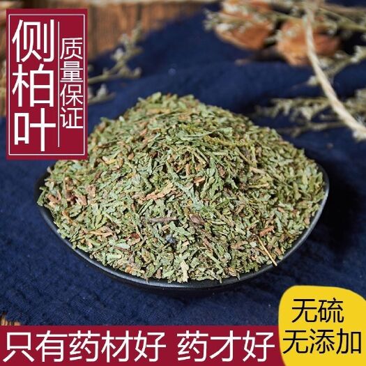 侧柏叶 中草药 干侧柏叶 中药材净货侧柏叶