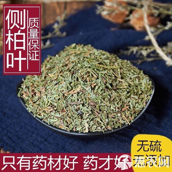 侧柏叶 中草药 干侧柏叶 中药材净货侧柏叶