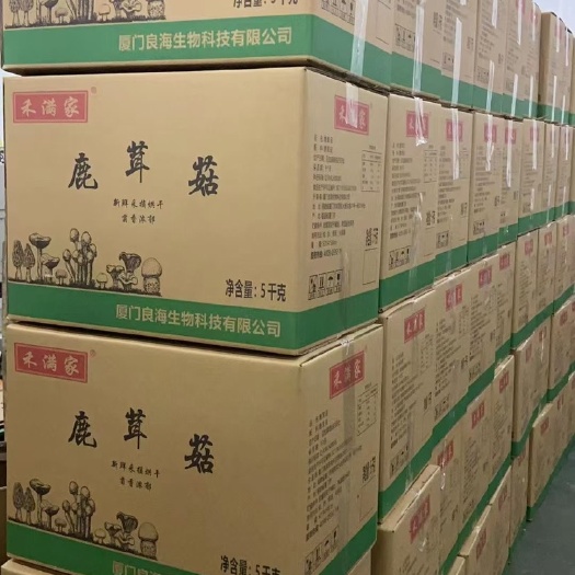 厦门禾满家鹿茸菇