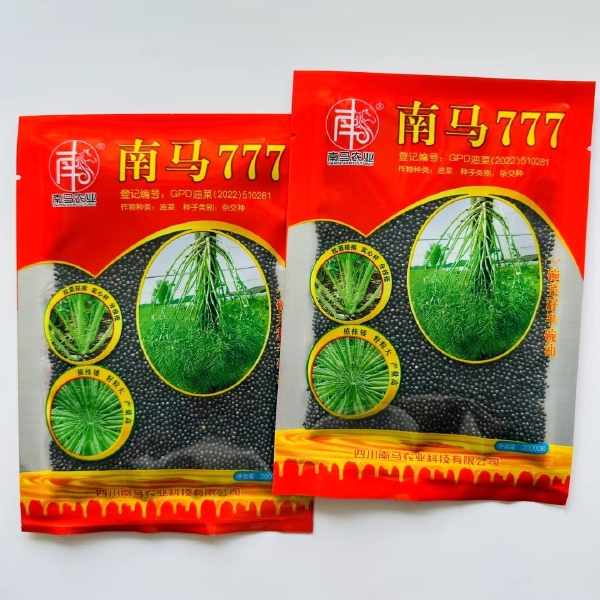 南马矮油188油菜种籽子南马777油菜籽种子矮抗1号油菜种子