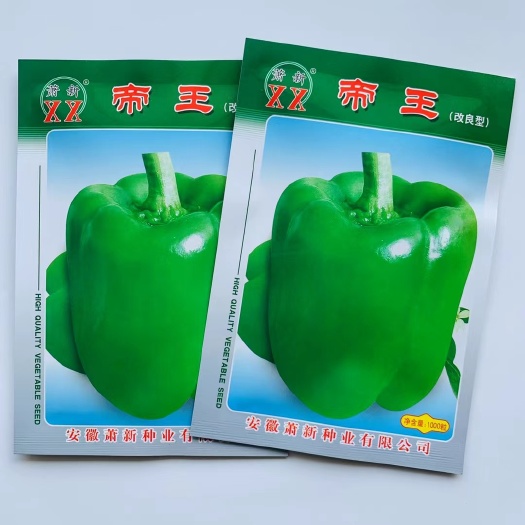 沭阳县灯笼椒种子 帝王柿子椒早熟生长势强而稳健果实膨大快味甘甜果面