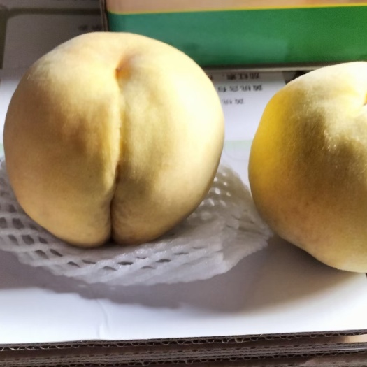 浦江县中余乡锦绣黄桃，新鲜采摘，香甜可口。