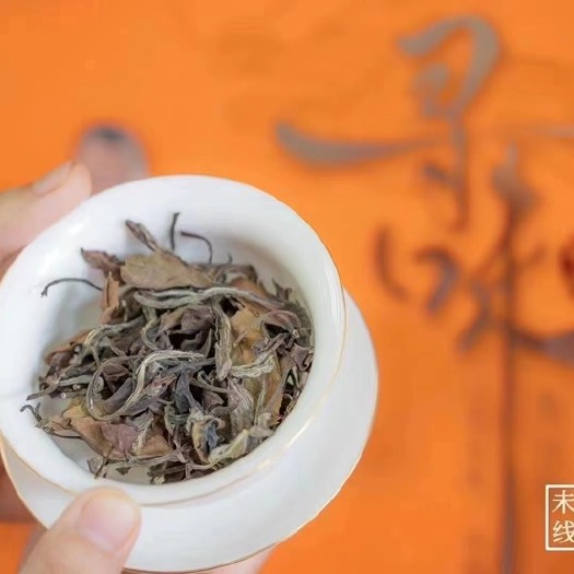 福安市福鼎老白茶