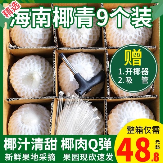 海南去皮椰青2-9个装包邮到家支持电商一件代发