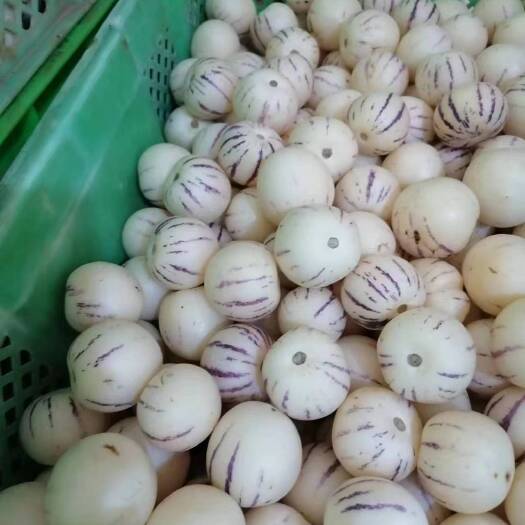 嵩明县云南石林人参果新鲜水果圆果黄心黄肉大果批发