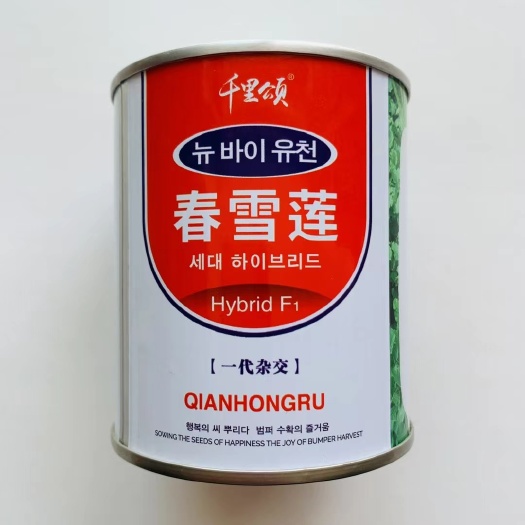 宿迁白萝卜种子