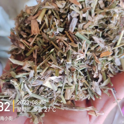 容城县瞿麦