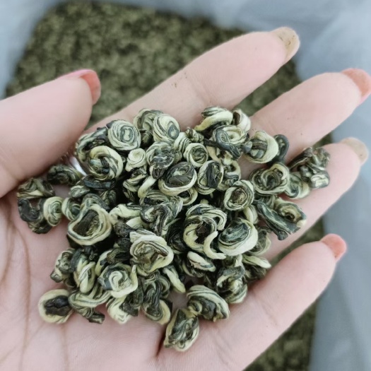 昆明茶叶云南 绿茶 碧螺春一芽一叶 散装茶
